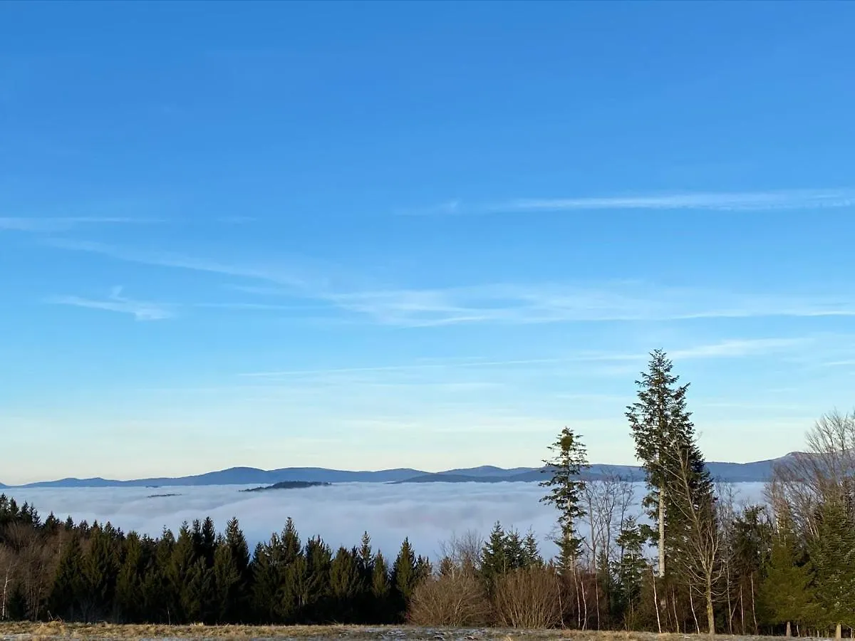 Exclusives 3Br! Apartment Mitten Im Bayerischen Wald +Netflix Schofweg