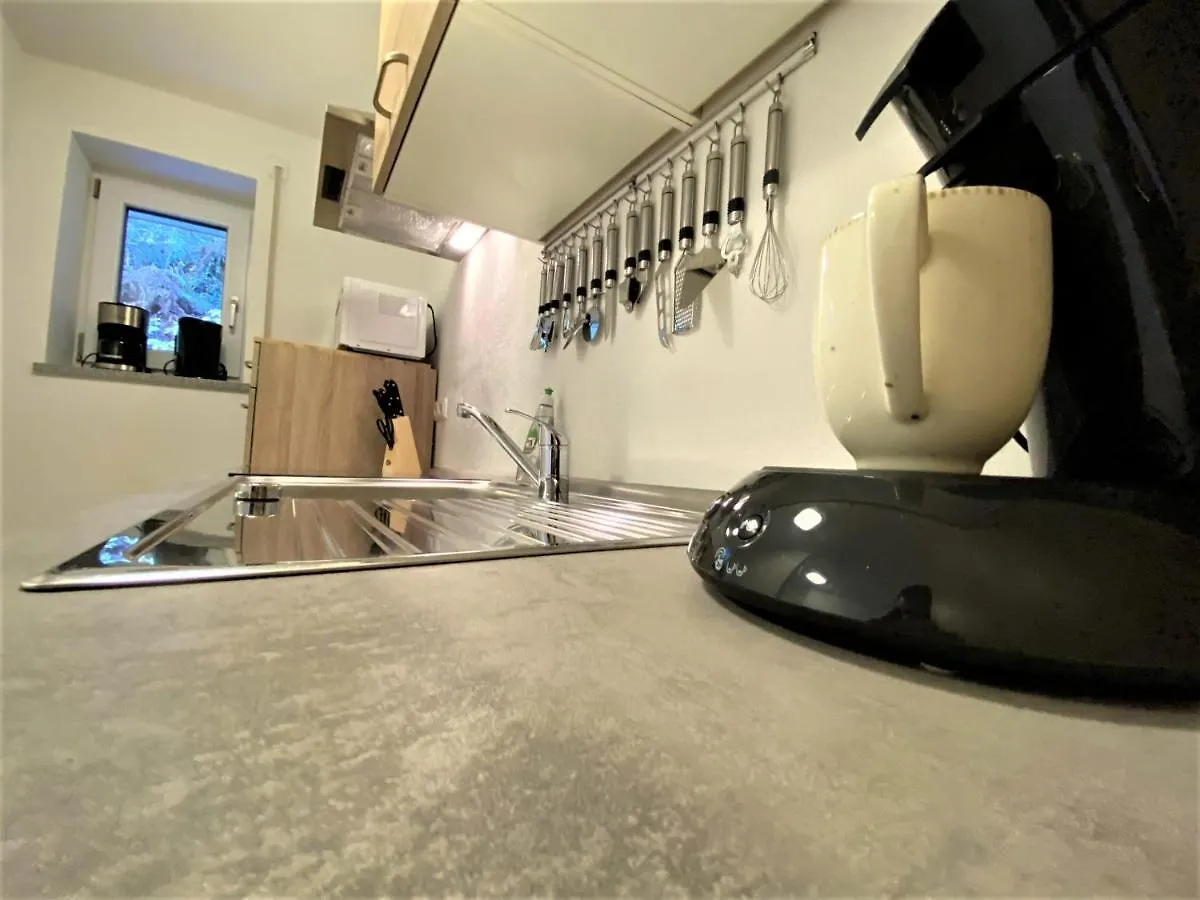 EXCLUSIVES 3BR! Apartment MITTEN im Bayerischen Wald +NETFLIX Schöfweg Deutschland