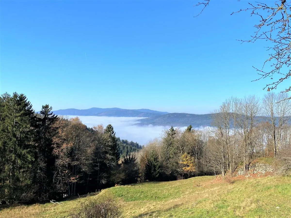 EXCLUSIVES 3BR! Apartment MITTEN im Bayerischen Wald +NETFLIX Schöfweg